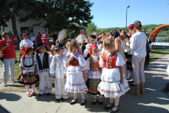Szüret 2012