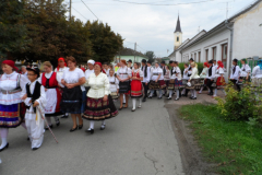 Szüreti nap 2014