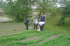 Diáknap 2010