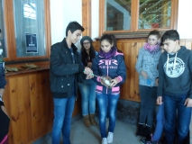 20141111_elso_vh (2)