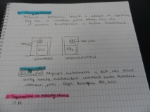 20100910_I (11)