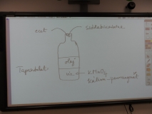 20100910_I (5)