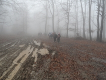 20141206_7