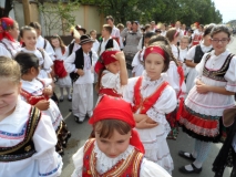 20140906_szureti (36)