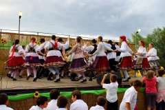 20140906_szureti (9)